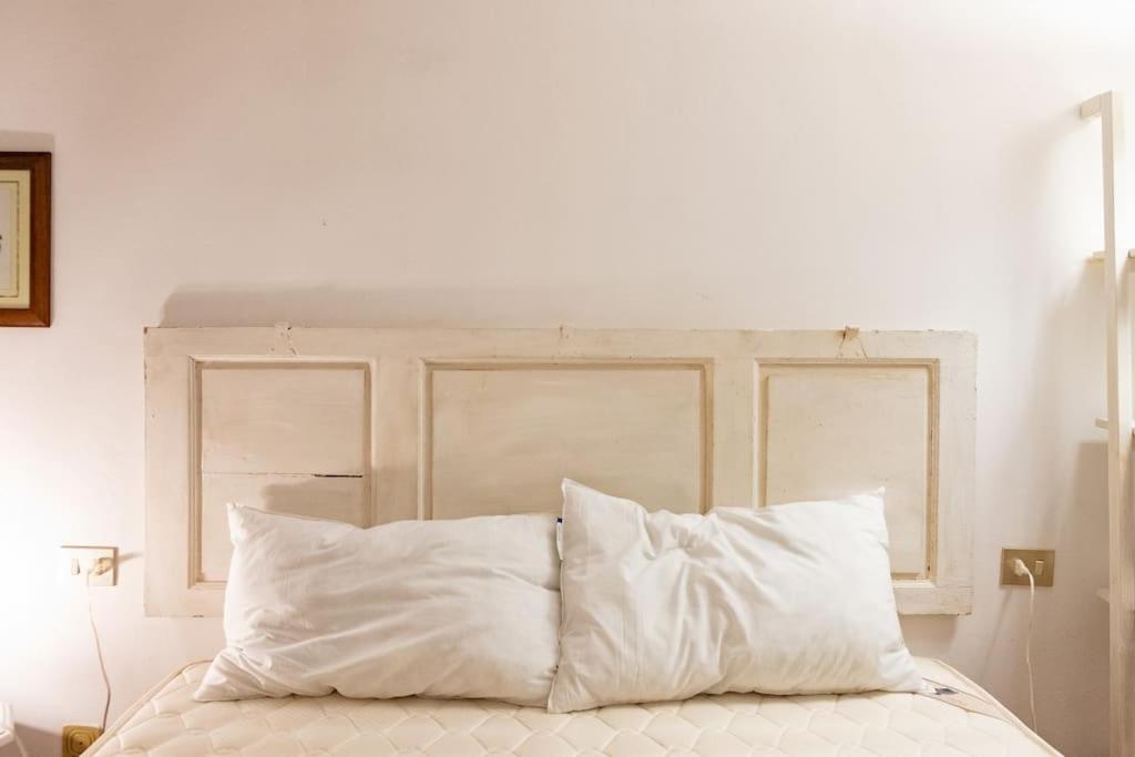 Classic Florentine Flat Near Piazza Santa Croce Florence Extérieur photo